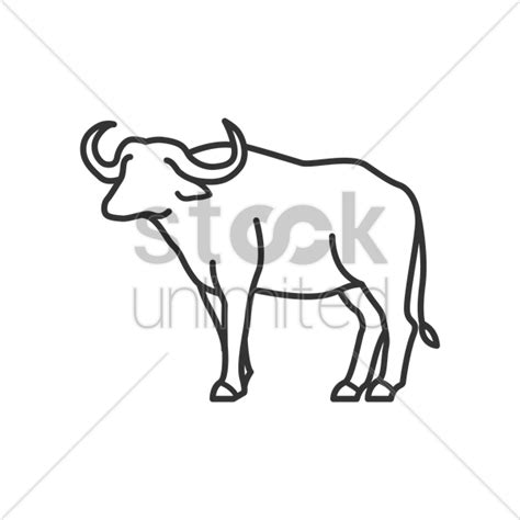 Philippine Tamaraw Drawing