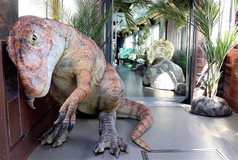 Fukui Dinosaur Train To Start Running To Museum This Summer The