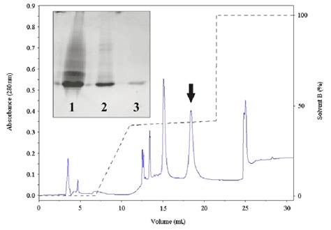 Reverse Phase High Performance Liquid Chromatography Rp Hplc Pattern