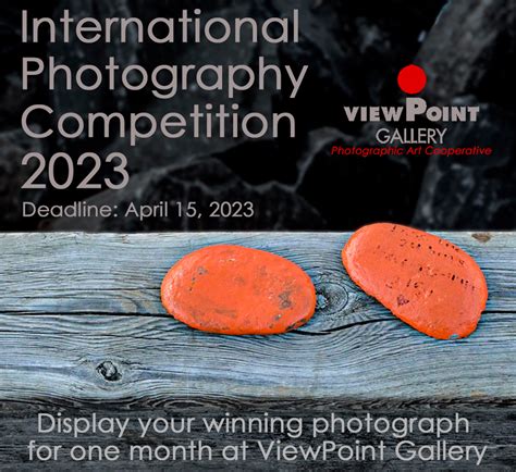 ViewPoint Gallery’s 2023 International Photography Competition | Photo ...