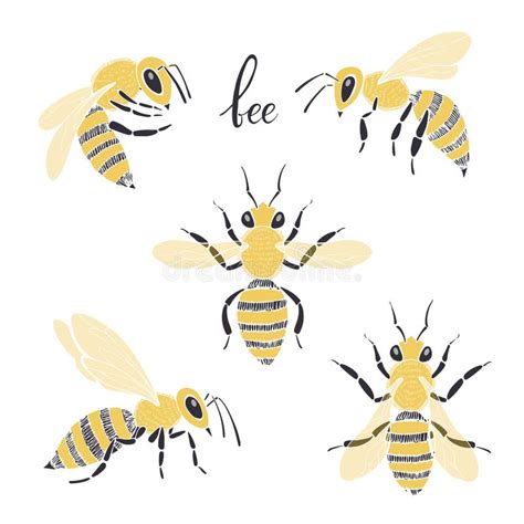 Honeybee Silhouettes Clipart Collectionbee Icon Bug Logo On White