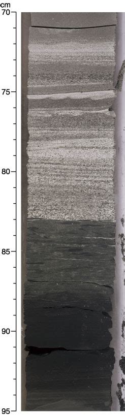 Figure F Close Up Of Graded Sandstone Turbidite Cm Passing