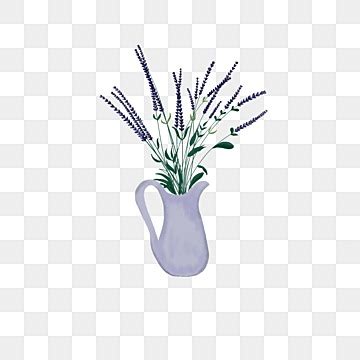 Lavende PNG Transparent Lavender Flowers Watercolor PNG Image For