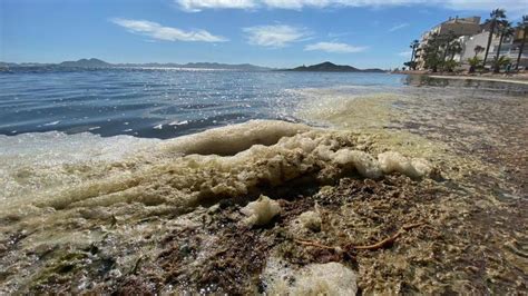 Greenpeace Se Persona En El Caso Topillo Por Los Vertidos Al Mar Menor