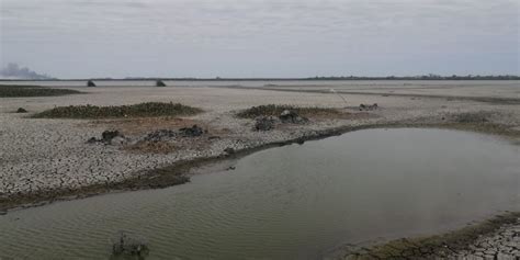 Pescadores Analizan Detener Su Actividad El Mercurio De Tamaulipas