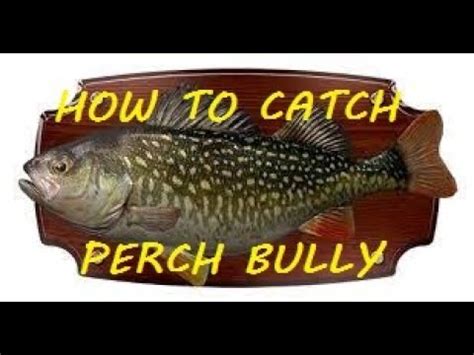 Fishing Planet How To Catch Perch Bully Fast Monster Fish Youtube