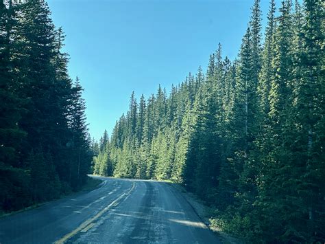 Mount Evans Scenic Byway: A Guide to the Highest Paved Road in North ...