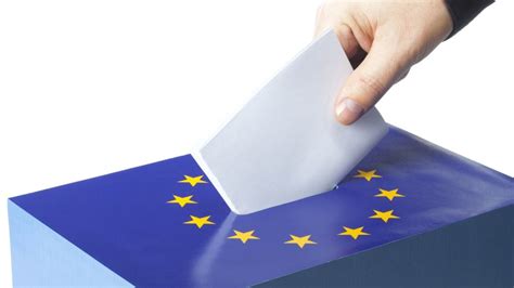 Alegerile Europene Parlamentul European Va Vota Propunerile