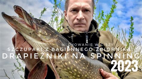 Szczupaki Na Spinning 2023 YouTube