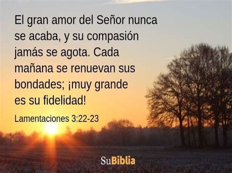 83 Lindas Frases De Agradecimiento A Dios Biblia