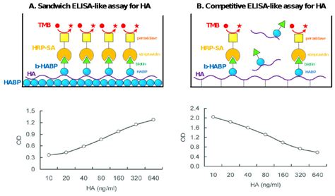 Figure 1 [schematic Representation Of Enzyme Linked Immunosorbent ] Glycoscience Protocols