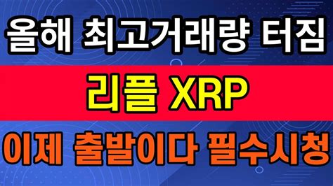 리플 Xrp 고래들이 대량매집했습니다 이제시작입니다 리플 차트분석 업비트 Youtube