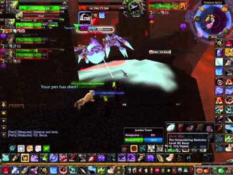 Dual Boxing Hunters Rare Pet Diary 6 Nov 1 2011 YouTube