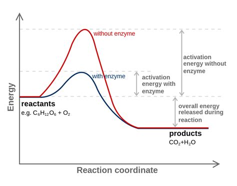 What Is Activation Energy Definition And Examples