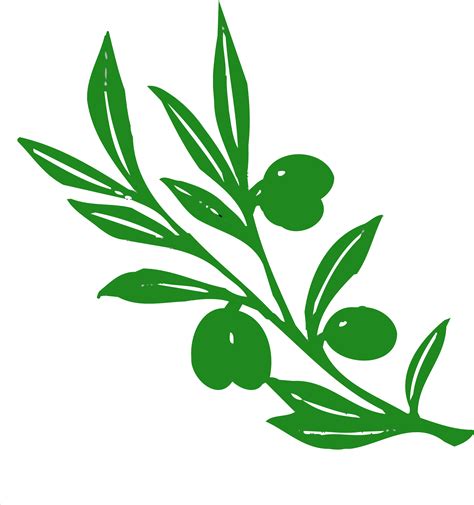 Olive tree clipart - Clipground