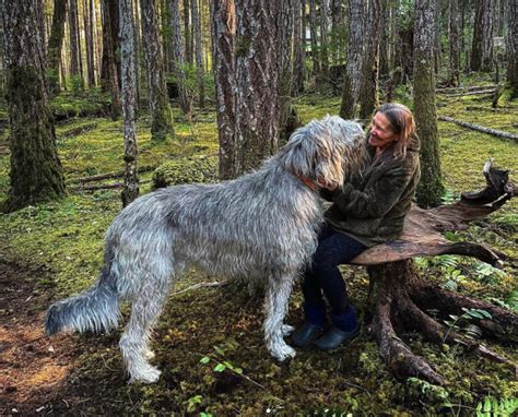 The world's biggest dog breeds | A-Love-Of-Rottweilers