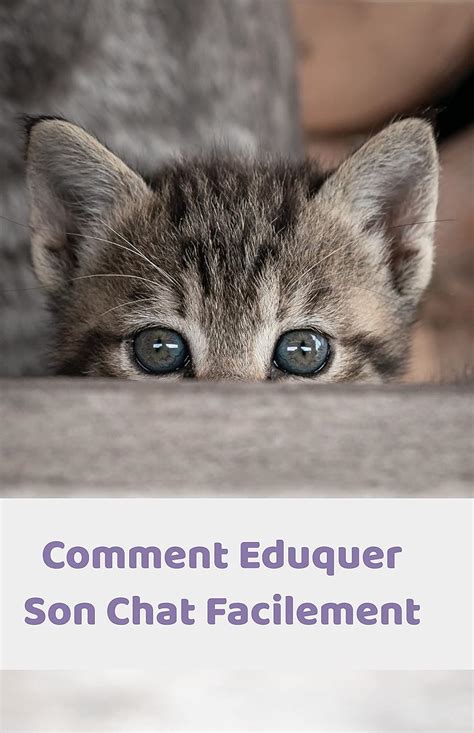 Comment Eduquer Son Chat Facilement Ne Lisez Pas Ce Livre Sauf Si