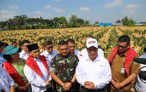 Bps Pdb Pertanian Triwulan Iv Tumbuh Positif Kontribusi Terhadap