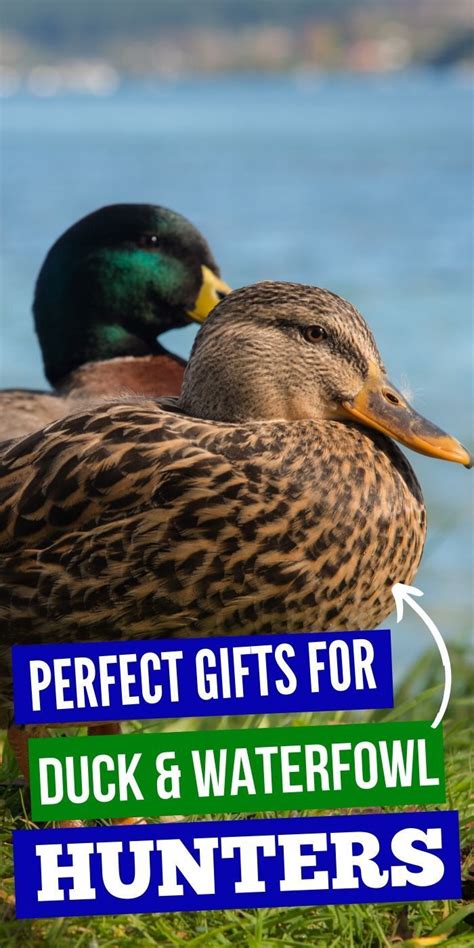 Best Perfect Gifts For Duck Waterfowl Hunters Duck Hunter Gifts