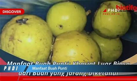 Temukan Manfaat Buah Punti Yang Jarang Diketahui