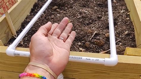 Diy Raised Garden Bed Pvc Irrigation Youtube