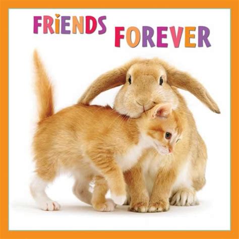 Best Pictures| Artwork: funny friends forever quotes