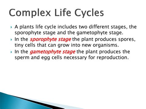 The Plant Kingdom Seedless And Seed Plants Plant Responses And Growth