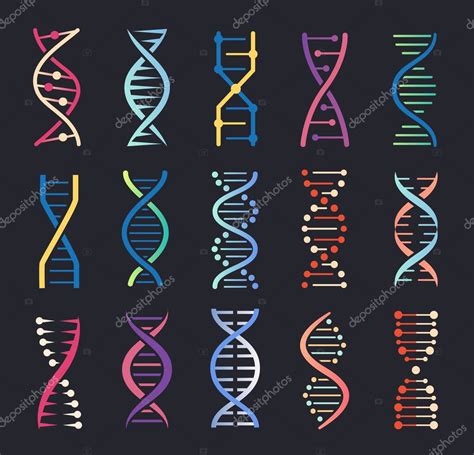 Iconos de Dna Hélice Estructura de la molécula en espiral génica