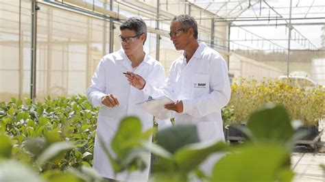 BASF Strengthens Innovation Pipeline For Sustainable Agriculture CropLife