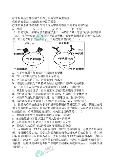 辽宁省六校2023 2024学年高二上学期第二次联考生物试卷正确云资源