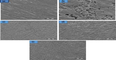 Sem Micrographs Of The Mild Steel Surface Analysis With Different Zno