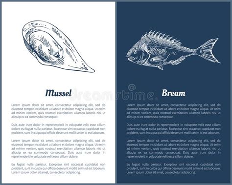 Miesmuschel Und Brachsen Fisch Gesetzte Vektor Illustration Vektor