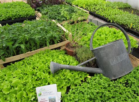 Étueffont Marché du terroir ce dimanche