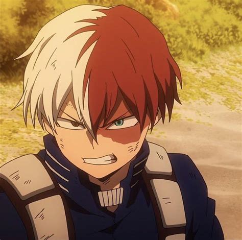 angry boy : ChurchOfTodoroki