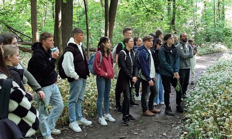 Auf den Spuren des Eisvogels Frühblüher und Kräuter im Auwald Leipzig