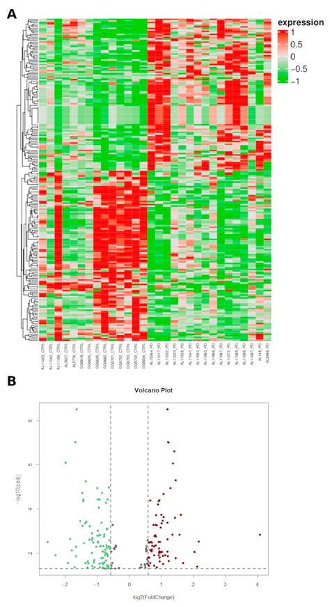 Ijms Free Full Text Role And Dysregulation Of Mirna In Patients