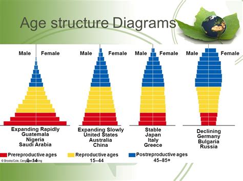 Population Age Structure Diagram Diagram For You