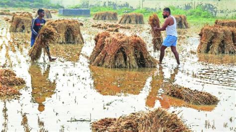 अवकाळी पावसामुळे नुकसान झालेल्या शेतकऱ्यांना १७७ कोटींची मदत जाहीर