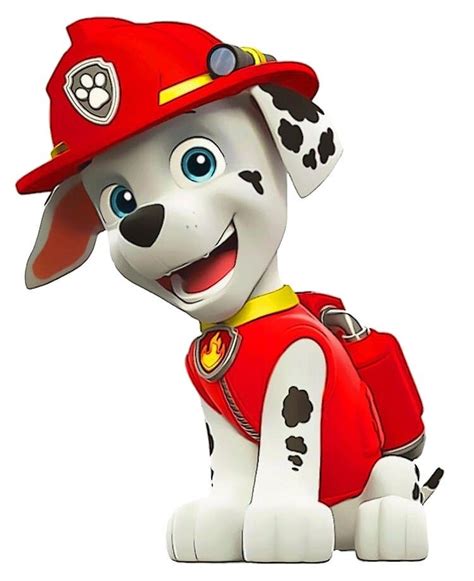 Paw Patrol Descubre A Todos Los Personajes Principales De La Patrulla