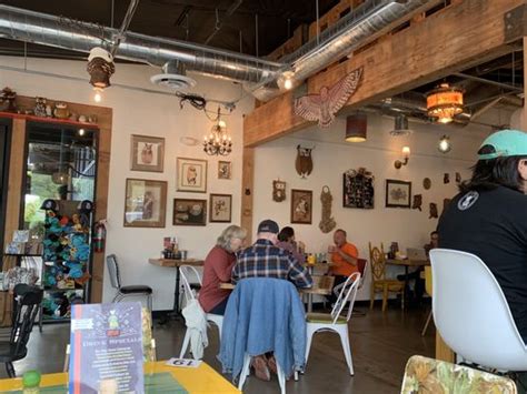 The Toasted Owl Cafe Updated February 2025 255 Photos And 175 Reviews