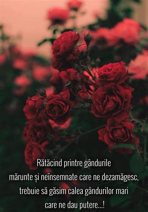 Red Roses Are In The Foreground With A Poem Written Below