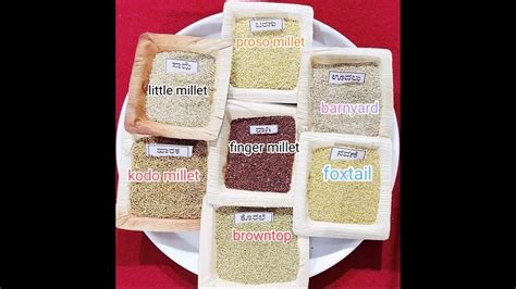 Indian Khana Millets Types Of Millets Benefits Nutrition 57 OFF