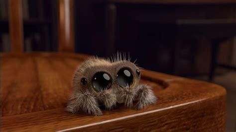 Lucas The Spider All Episodes Lucas The Spider Animated Spider Bug