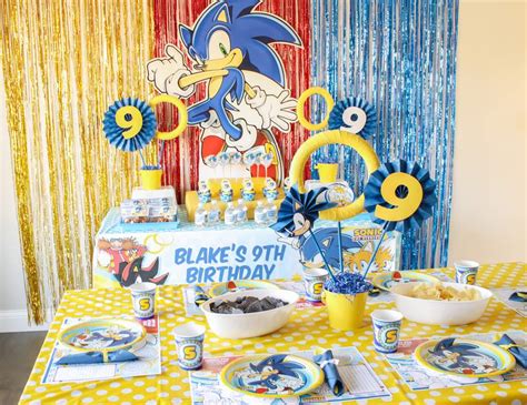 Sonic The Hedgehog Birthday Sonic The Hedgehog Party Catch My Party