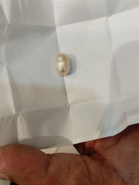 Creamish White Oval South Sea Pearl At Rs 500 Carat In Kolkata ID