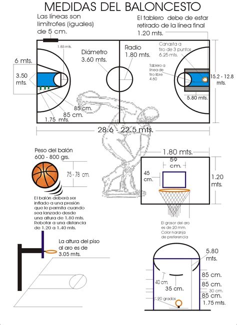 Historia Del Baloncesto