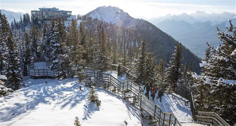 Hike The Sulphur Mountain Trail A Scenic Journey To Banffs Peak