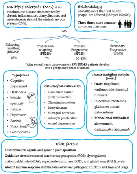 Ijms Free Full Text Probiotics And Commensal Gut Microbiota As The