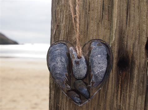 Cornish Mussel Shell Heart Hanging Shell Heart Decoration Etsy UK