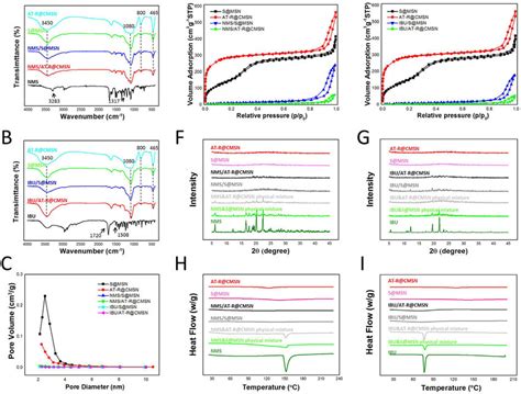 The Structural Characterizations Of NMS Or IBU Loaded S MSN And